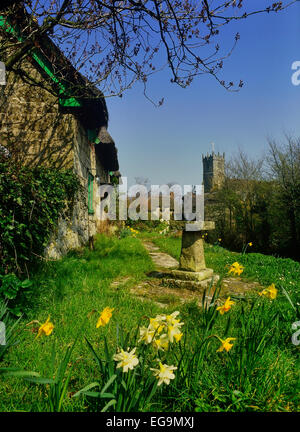 Isle Of Wight. Godshill. UK Stockfoto