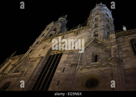 Wiener Stephansdom in Österreich in der Nacht Stockfoto