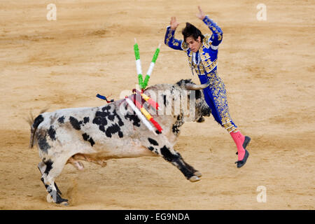 Bull Torero David Galan Matador Toros David Galan de la Suerte de Banderillas Stockfoto