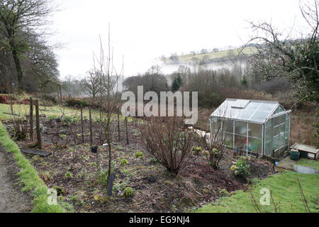 Carmarthenshire, Wales, UK. Freitag, 20. Februar 2015.  Gewächshaus in einem ländlichen Garten auf einer trockenen nebligen kalten Februartag in Carmarthenshire, West Wales UK.   Kathy DeWitt/AlamyLiveNews Stockfoto