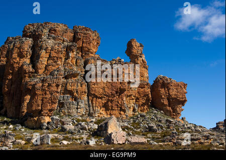 Felsformationen in der Umgebung von Algerien, Cederberg Wilderness, Südafrika Stockfoto