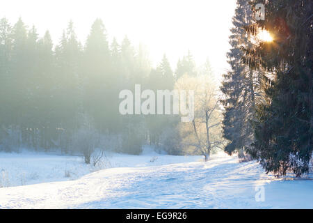 Sonnenstrahlen über Nebel am Fluss im Winterwald Stockfoto