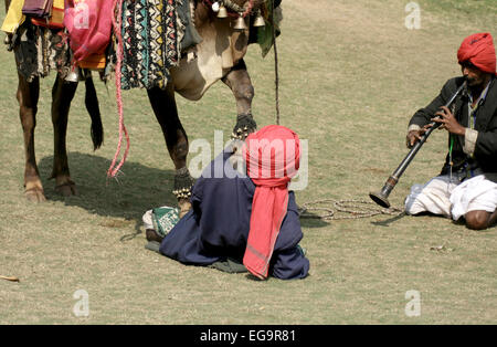 Musiker Show eingerichtet Bull Gangireddu Fähigkeiten während Sankranti pongal hinduistische Festivals am Januar 14,2014 in in Hyderabad, Indien. Stockfoto