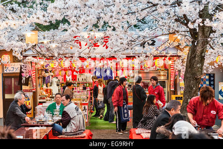 Frühling in Kyoto, Japan. Während der Kirschblütensaison versammeln sich Menschenmassen, um unter den Kirschbäumen im Maruyama Park ein „Hanami“-Picknick zu machen Stockfoto