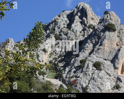 In der Nähe von El Chorro Stockfoto