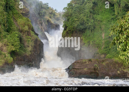 Ein Blick auf die Murchinson Falls an Murchinson Falls National Park, Uganda Stockfoto