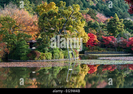 Buntes Herbstlaub (Herbst) rund um den Teich in den Gärten des Ryoan-JI Zen Tempels, Kyoto, Japan Stockfoto