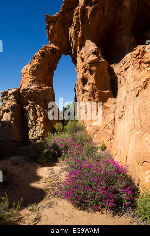 Felsformation in Stadsaal Höhlen, Cederberg Wilderness, Südafrika Stockfoto