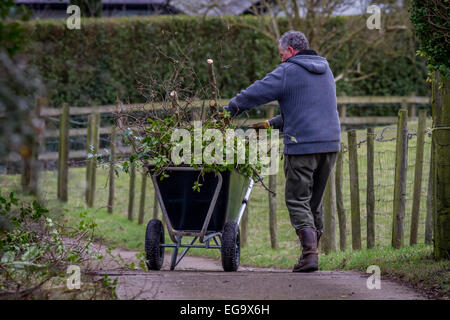 Mann mit schubkarre Gartenarbeit clippings im Winter/Frühjahr zu sammeln Stockfoto