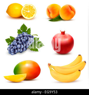 Große Gruppe von verschiedenen Früchten. Vektor. Stockfoto