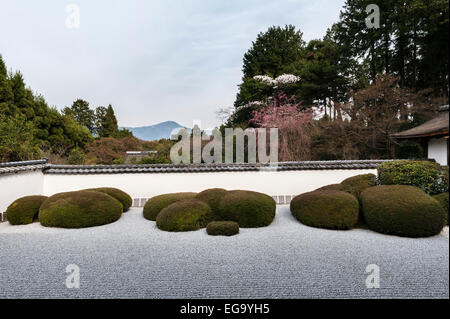 Kyoto, Japan. Shoden-Ji Zen-buddhistischen Tempel im Frühjahr. Abgeschnittene Azaleen im trockenen Kies Garten, mit Blick auf Mt Hiei Stockfoto