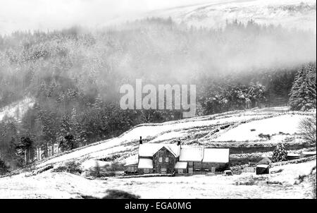 Nebel hängt über den Wald in Danby Dale Stockfoto