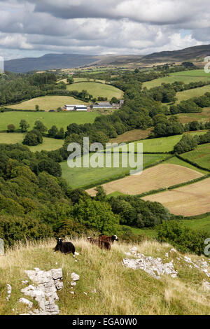 Blick über Bauernhöfe und Black Mountain aus Position Cennen Castle, Llandeilo, Brecon Beacons, Carmarthenshire, Wales, Vereinigtes Königreich Stockfoto