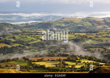Blick über nebligen Ackerland von Black Mountain, in der Nähe von Capel Gwynfe, Brecon Beacons National Park, Carmarthenshire, Wales, Vereinigtes Königreich Stockfoto