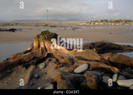 Borth, Ceredigion, Wales Stockfoto