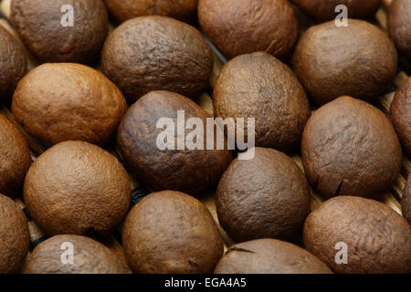 Geröstete Kaffeebohnen Makro erschossen mit erweiterten Schärfentiefe. Bohnen legen auf den Kopf. Stockfoto
