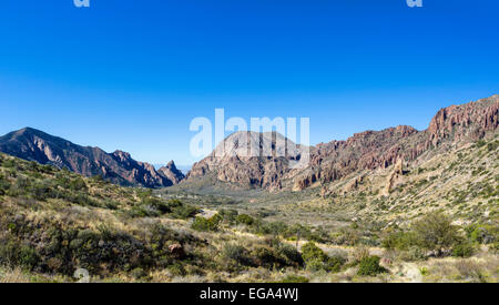 Straße durch Chisos Basin in Big Bend Nationalpark, Texas, USA Stockfoto