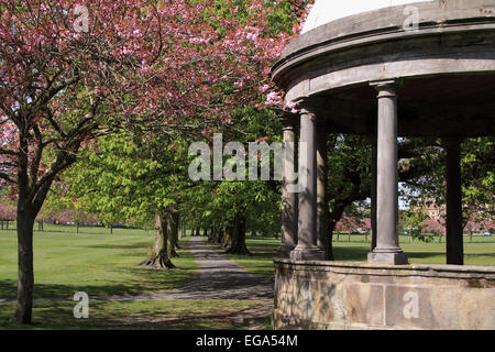 Der Tewit-Brunnen auf der streunenden an einem sonnigen Frühlingstag / Harrogate / North Yorkshire / UK Stockfoto