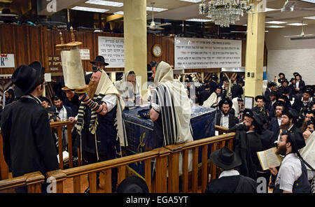 Nach eine Tora lesen einen religiösen jüdischen Mann zeigt die Schriftrolle der Kongregation. In Crown Heights, Brooklyn, New York Stockfoto