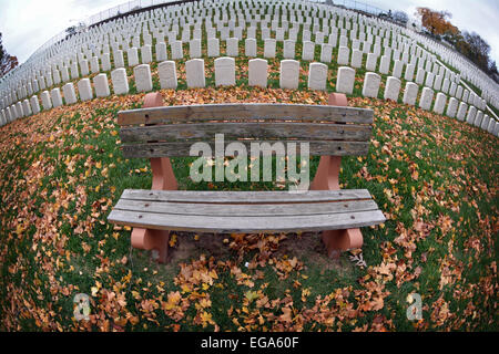 Eine leere Bank an einem Herbsttag auf Zypern Hills National Cemetery in Brooklyn, New York. Stockfoto