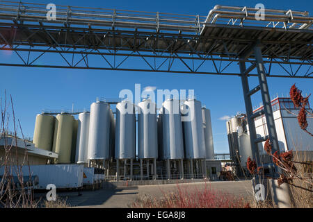 Fort Collins, Colorado - die neue Brauerei in Belgien. Stockfoto