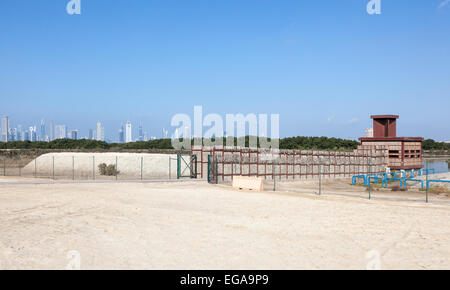 Ras al Khor Wildlife Sanctuary in Dubai, Vereinigte Arabische Emirate Stockfoto