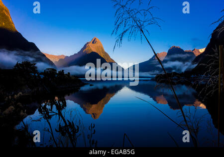 New Zealand Milford Sound mit Mitre Peak in Fiordland Nationalpark Neuseeland im Morgengrauen Stockfoto