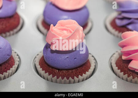 Rosa-Cupcakes-Nahaufnahme Stockfoto