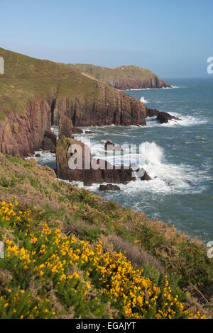 Blick auf Old Castle Head, in der Nähe von Manorbier, Pembrokeshire Coast National Park, Pembrokeshire, Wales, Vereinigtes Königreich, Europa Stockfoto