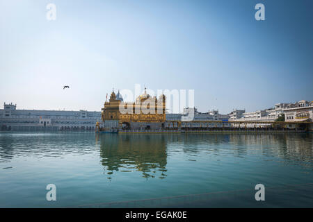 Der Goldene Tempel von Harmandir Sahib, der heiligste Schrein und Wallfahrtsort der Sikh Religion in Amritsar, Indien. Stockfoto