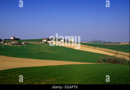 Italien, Le Marche, Osimo Land Stockfoto