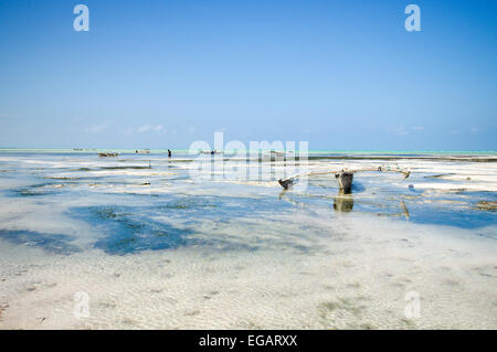 Ngalawa ruht auf das Wattenmeer bei Ebbe - Jambiani, Zanzibar Stockfoto