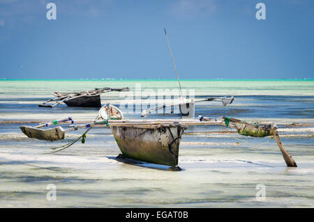 Ngalawas ruht auf das Wattenmeer bei Ebbe - Jambiani, Zanzibar Stockfoto