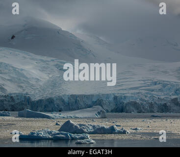 Eisberge und Berg, Cierva Bucht, Antarktis Stockfoto