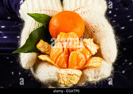 Hände in gestrickte weiße Handschuhe mit Mandarinen auf dunkelblauem Hintergrund Stockfoto
