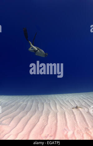Freediver schwimmt über sandigem Untergrund, Rotes Meer, Ägypten Stockfoto