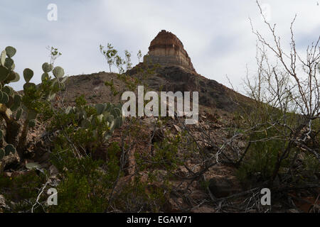 Entlang dem Rio Grande Fluss in Big Bend Ranch State Park Stockfoto