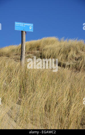 gefährdete Dünenlandschaft, Nordholland, Niederlande Stockfoto