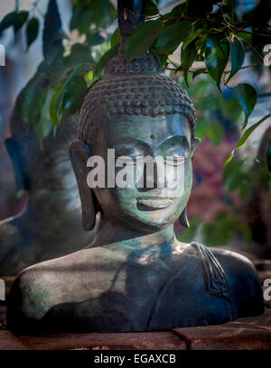 Stein-Kopf des Buddha - Frankreich. Stockfoto