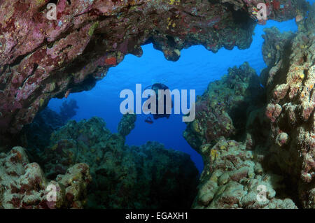 Taucher am Coral Reef im Ras Mohammed National Park, Sinai, Rotes Meer, Ägypten, Afrika Stockfoto