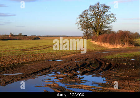 Landwirtschaft, Eingang schlammiges Feuchtgebiet, ländliche Landleben, wellington Stiefel, Gummistiefel, Schlamm herrlich, Landwirte, Traktor, Gefahr, Versicherungsansprüche, Straftat. Stockfoto