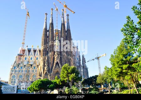 La Sagrada Familia Kirche. Entworfen von dem Architekten Antoni Gaudí. Stadtteil Eixample, Barcelona, Katalonien, Spanien. Stockfoto