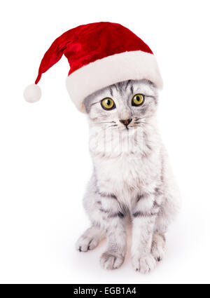 Santa Hut Katze isoliert auf weißem Hintergrund Stockfoto