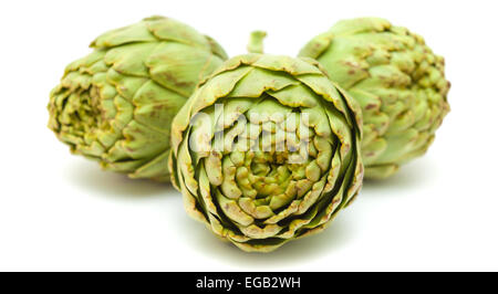 Artischocke isoliert auf weißem Hintergrund Stockfoto