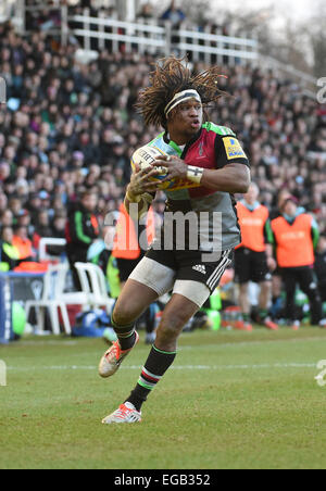 London, UK. 21. Februar 2015. Aviva Premiership. Harlekine gegen Exeter Chiefs. Yard in Aktion Credit: Action Plus Sport/Alamy Live News Stockfoto