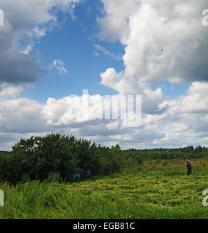 Am Dorf Garten Rasen zu mähen. Stockfoto