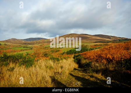 Cooley Mountains Carlingford co. Louth, Irland Stockfoto