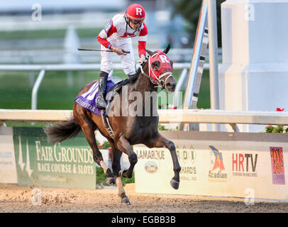 New Orleans, Louisiana, USA. 21. Februar 2015. 21. Februar Stern 2015:International mit Miguel Mena Siege die Auferstandenen Star Einsätze am New Orleans Messegelände gestiegen Star Einsätze. Steve Dalmado, ESW, CSM, Alamy Live-Nachrichten Stockfoto