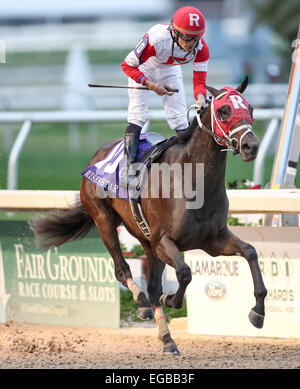 New Orleans, Louisiana, USA. 21. Februar 2015. 21. Februar Stern 2015:International mit Miguel Mena Siege die Auferstandenen Star Einsätze am New Orleans Messegelände gestiegen Star Einsätze. Steve Dalmado, ESW, CSM, Alamy Live-Nachrichten Stockfoto