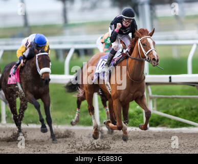 New Orleans, Louisiana, USA. 21. Februar 2015. 21. Februar 2015: Ich bin A Schwätzer mit Florent Geroux Siege Rachel Alexandra Stakes bei New Orleans Messegelände gestiegen Star Stakes Tag. Steve Dalmado, ESW, CSM, Alamy Live-Nachrichten Stockfoto